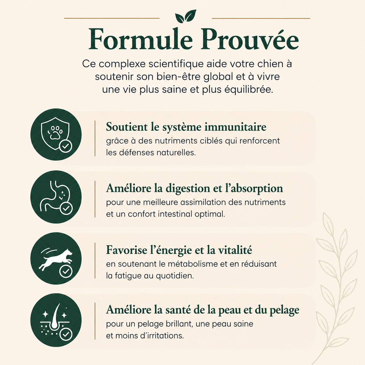 Santé Dentaire