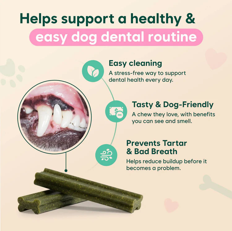 Fresh Breath Chews