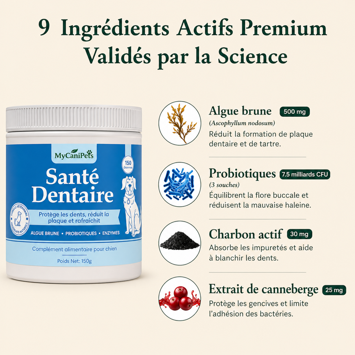 Santé Dentaire