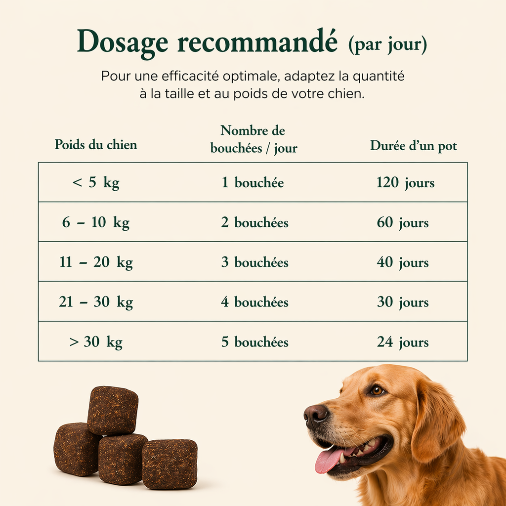 Immunité & Démangeaisons