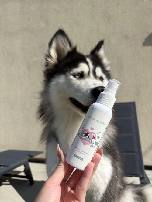 Client PawGuardian