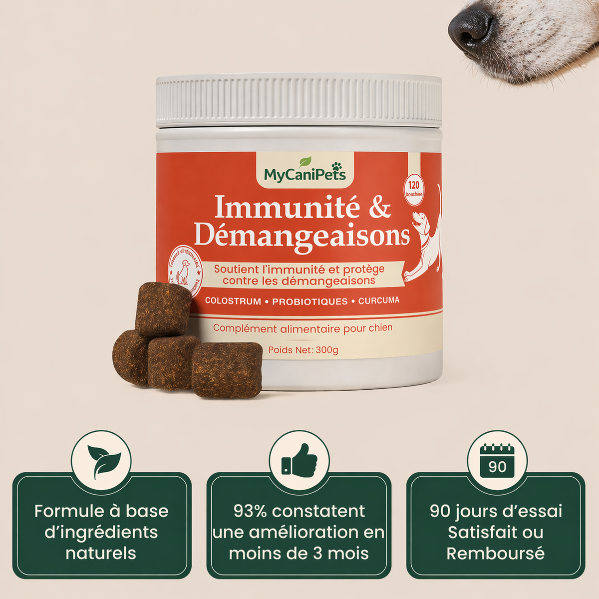 Immunité & Démangeaisons