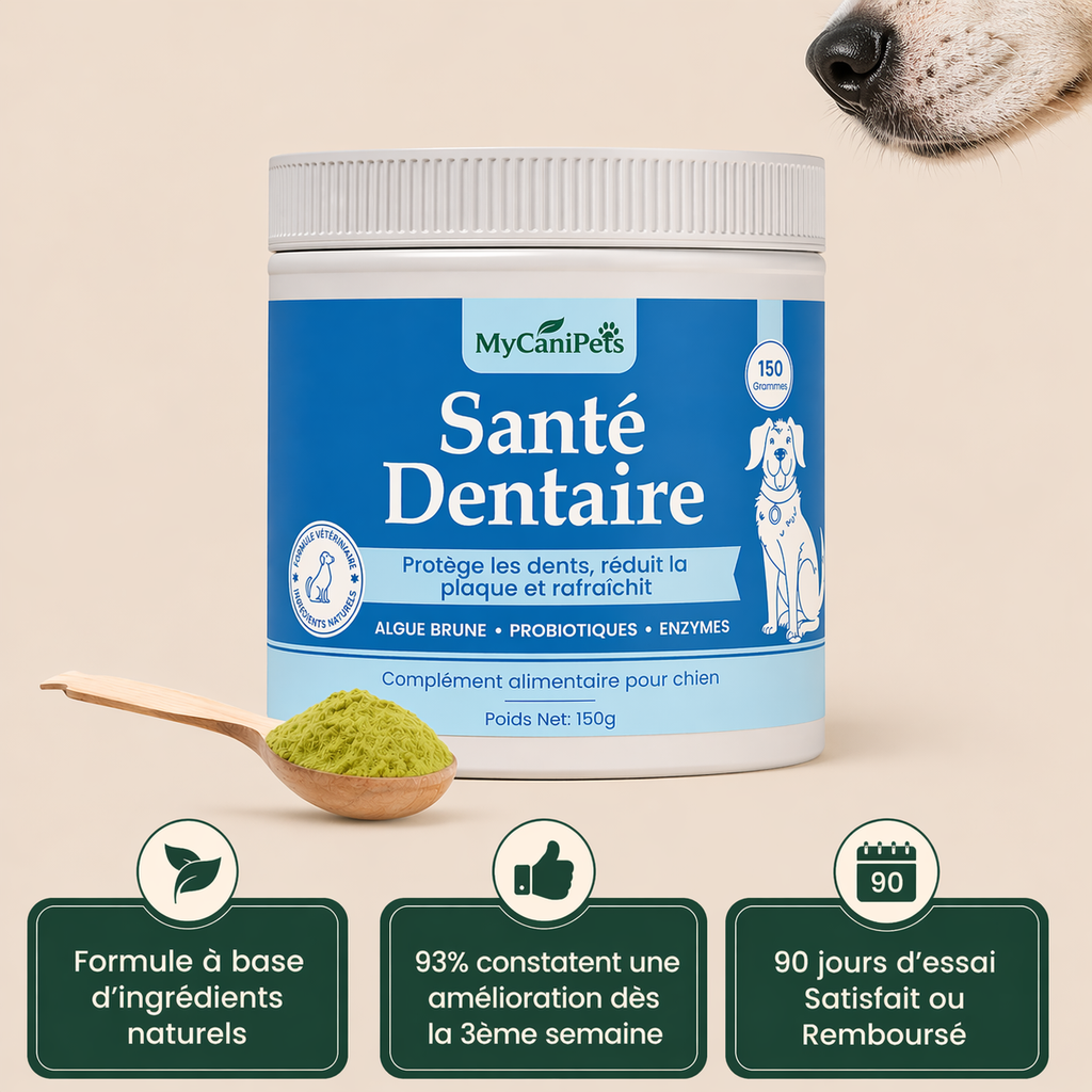 Santé Dentaire